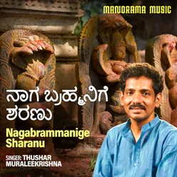 Nagabrammanige Sharanu